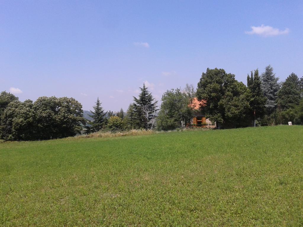 Lodging Vidmar سرمسكي كارلوفيتش الغرفة الصورة