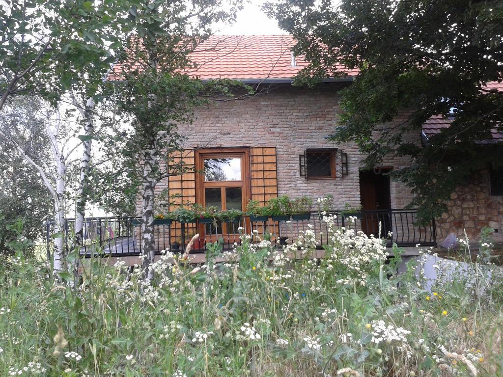 Lodging Vidmar سرمسكي كارلوفيتش المظهر الخارجي الصورة